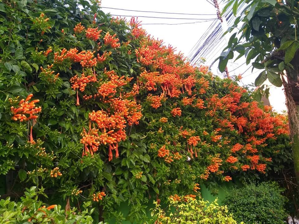 Baan Bua Homestay Chiang Rai Exterior photo